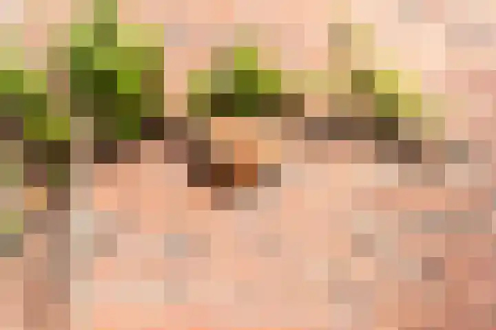 Wilde Wingerdlaan 6 Gouda thumbnail 47
