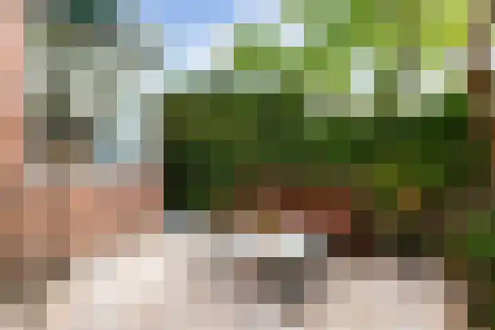 Wilde Wingerdlaan 6 Gouda thumbnail 48