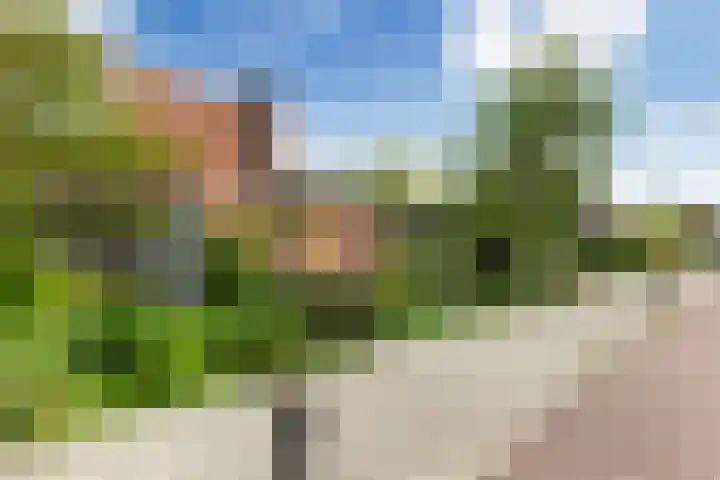 Wilde Wingerdlaan 6 Gouda thumbnail 50