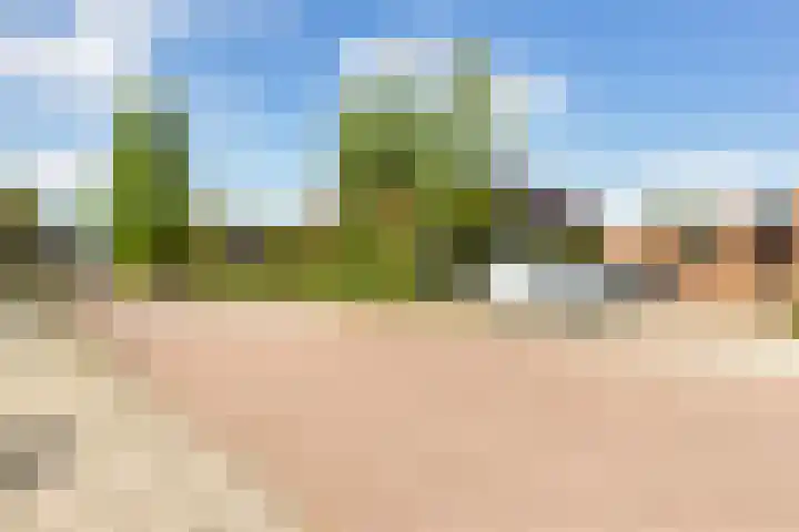 Wilde Wingerdlaan 6 Gouda thumbnail 51