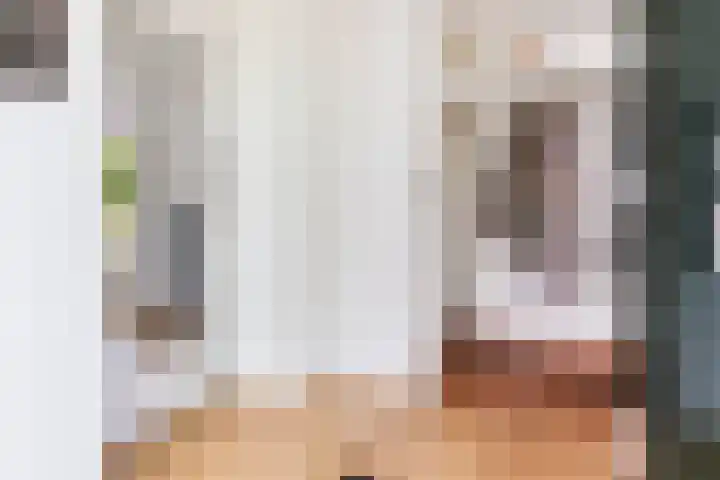Wilde Wingerdlaan 6 Gouda thumbnail 7