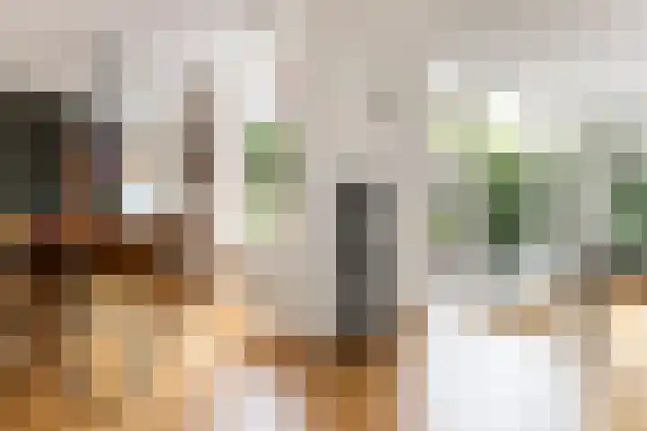 Wilde Wingerdlaan 6 Gouda thumbnail 8