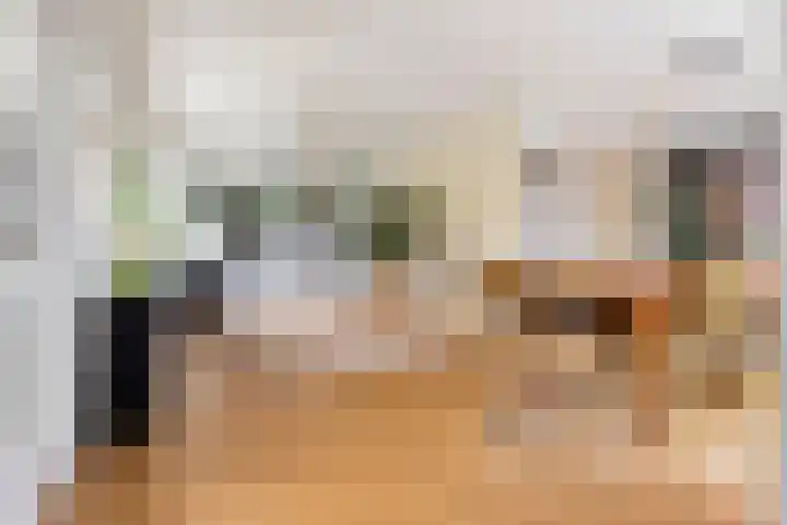 Wilde Wingerdlaan 6 Gouda thumbnail 9