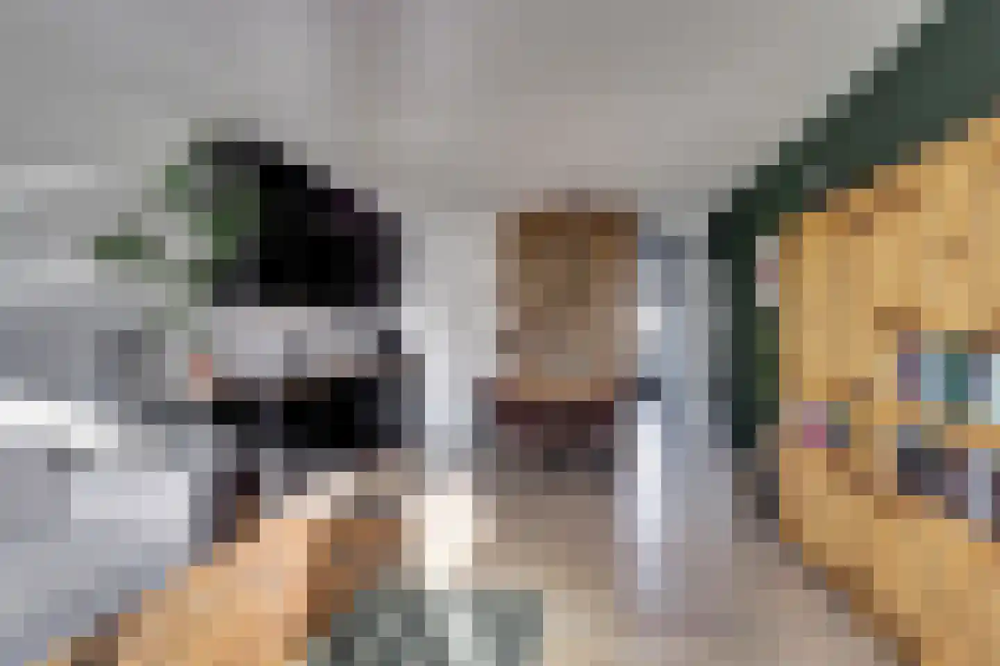 Wilde Wingerdlaan 67 Gouda thumbnail 14