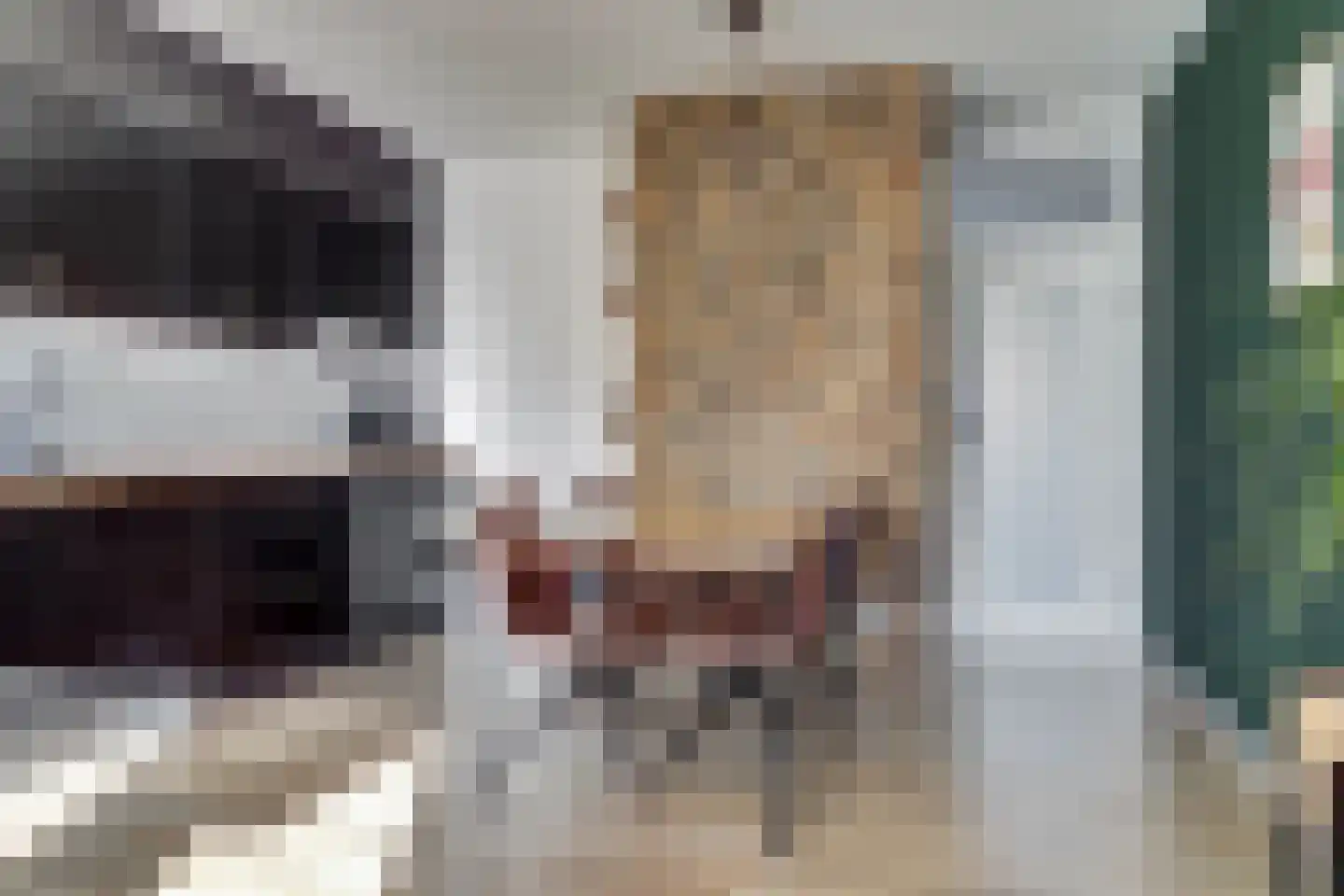 Wilde Wingerdlaan 67 Gouda thumbnail 4