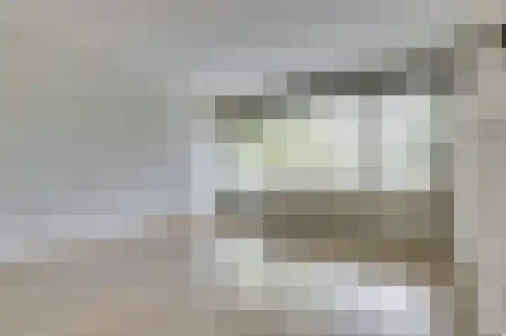 Wilde Wingerdlaan 97 Gouda thumbnail 10
