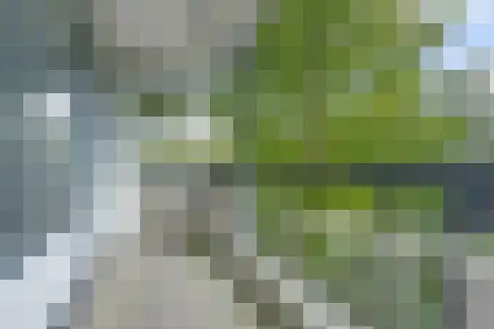 Wilde Wingerdlaan 97 Gouda thumbnail 11
