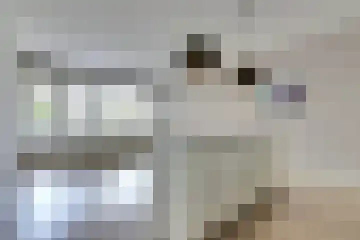 Wilde Wingerdlaan 97 Gouda thumbnail 15