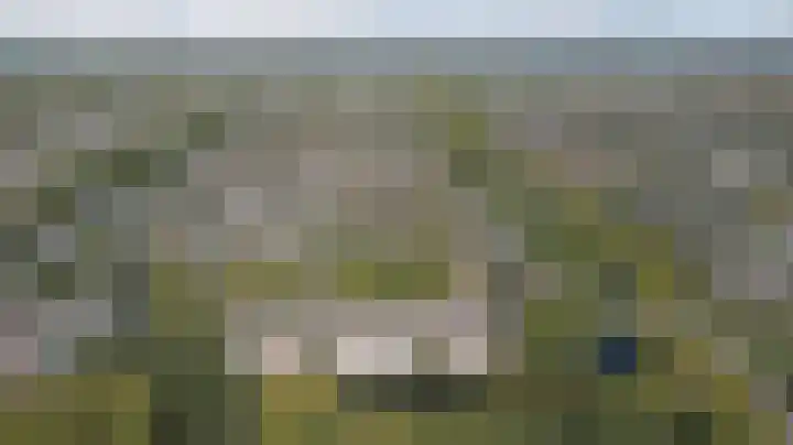 Wilde Wingerdlaan 97 Gouda thumbnail 32