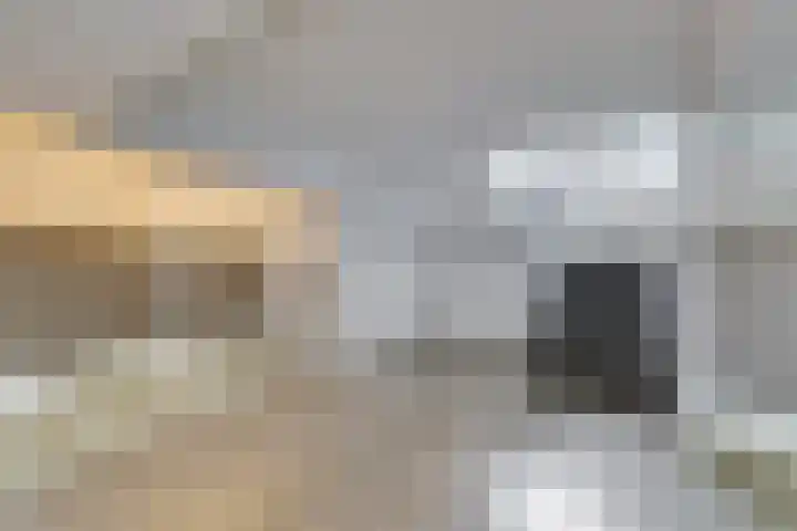 Wilde Wingerdlaan 97 Gouda thumbnail 4