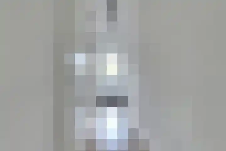 Wilde Wingerdlaan 97 Gouda thumbnail 7