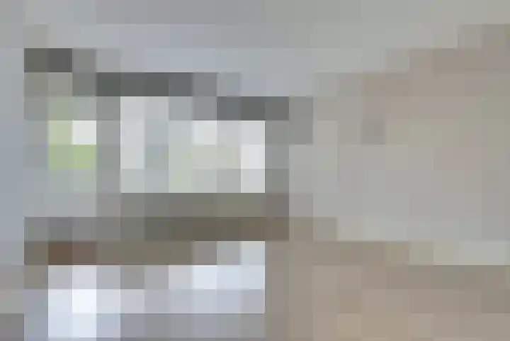 Wilde Wingerdlaan 97 Gouda thumbnail 9