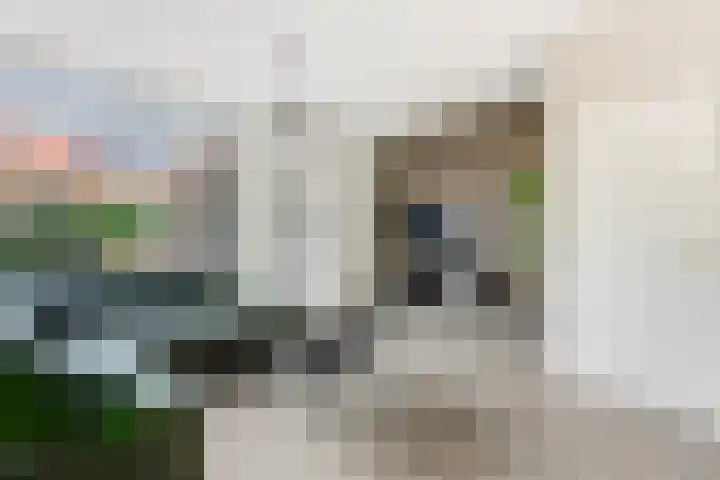 Wilde Woutstraat 10 Alblasserdam thumbnail 11
