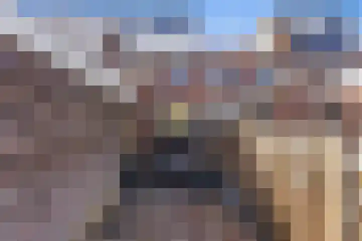 Wilde Woutstraat 10 Alblasserdam thumbnail 31