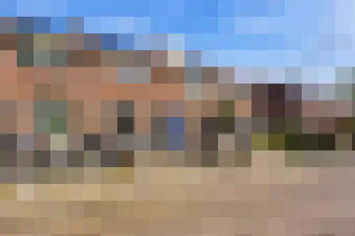 Wilde Woutstraat 10 Alblasserdam thumbnail 37