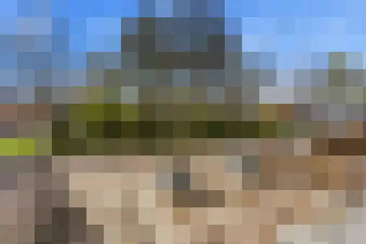 Wilde Woutstraat 10 Alblasserdam thumbnail 38