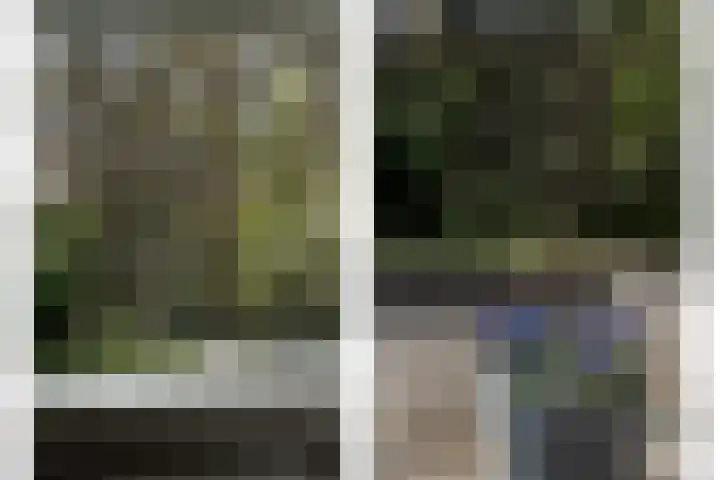 Wilde Woutstraat 10 Alblasserdam thumbnail 41