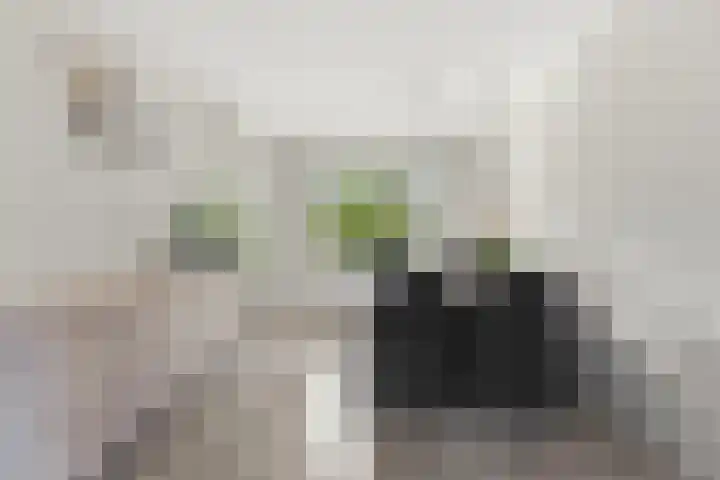 Wilde Woutstraat 10 Alblasserdam thumbnail 6