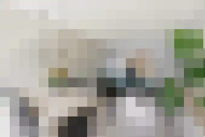 Wilde Woutstraat 10 Alblasserdam thumbnail 8
