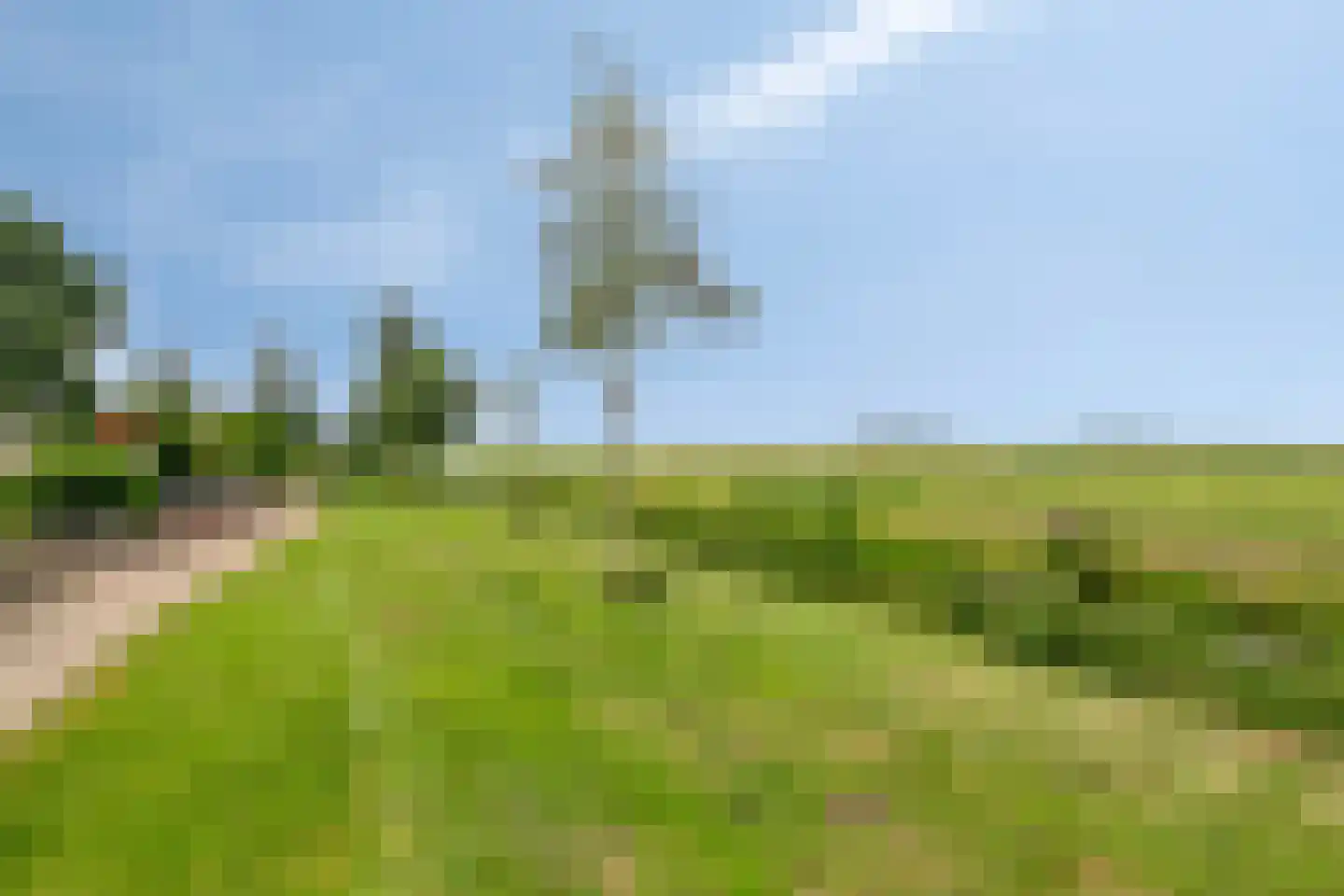 Wilde Zwaan 71 Bunschoten-Spakenburg thumbnail 31