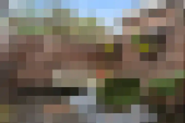 Wildekamp 46 Bennekom thumbnail 35
