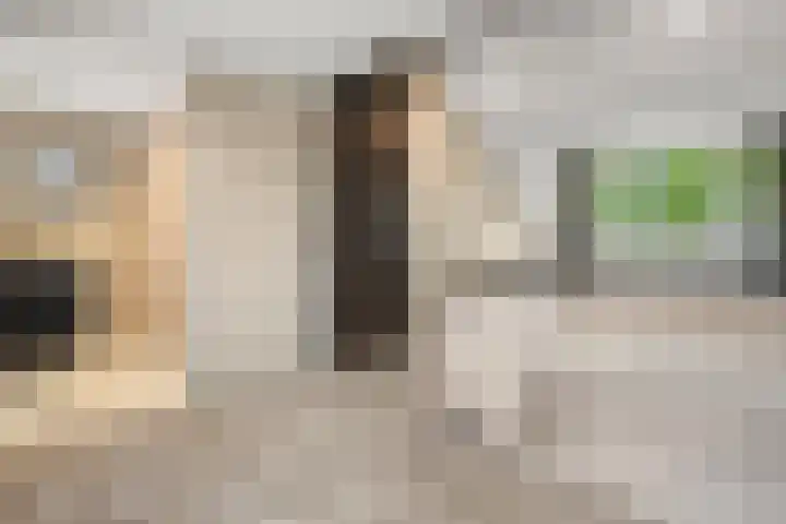 Wildekamp 64 Bennekom thumbnail 36