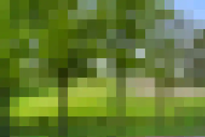 Wildekamp 64 Bennekom thumbnail 39