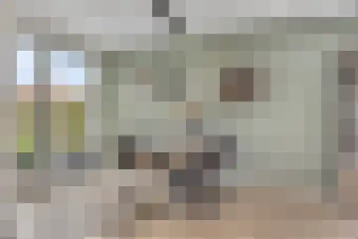 Wildekampseweg 19 Wapenveld thumbnail 10