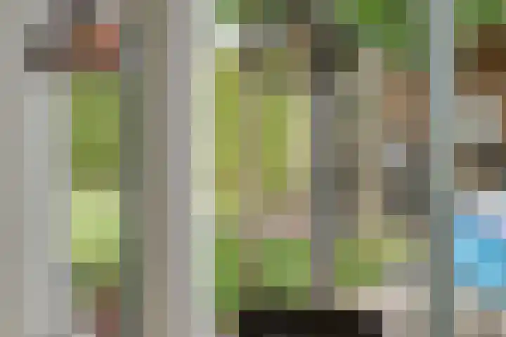 Wildekampseweg 19 Wapenveld thumbnail 11