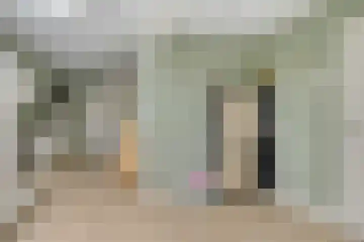 Wildekampseweg 19 Wapenveld thumbnail 12