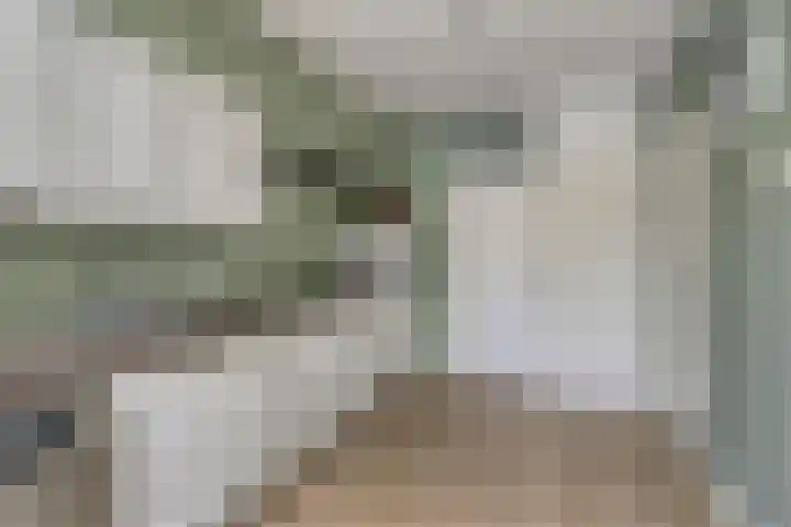 Wildekampseweg 19 Wapenveld thumbnail 13