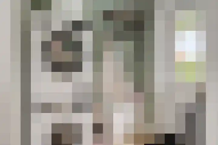 Wildekampseweg 19 Wapenveld thumbnail 17