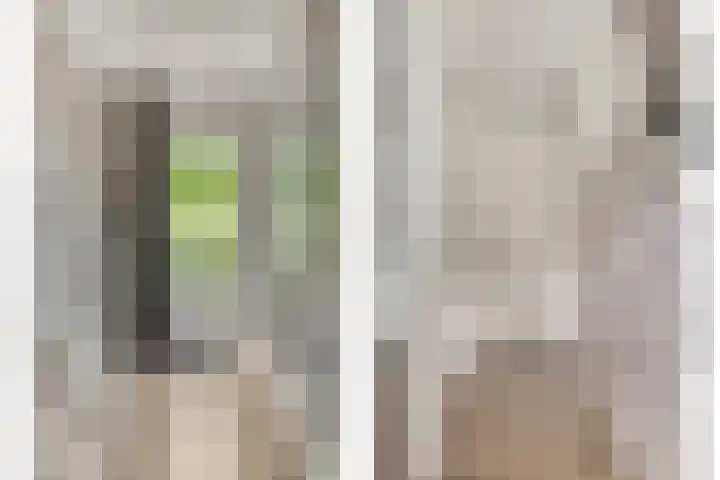 Wildekampseweg 19 Wapenveld thumbnail 18