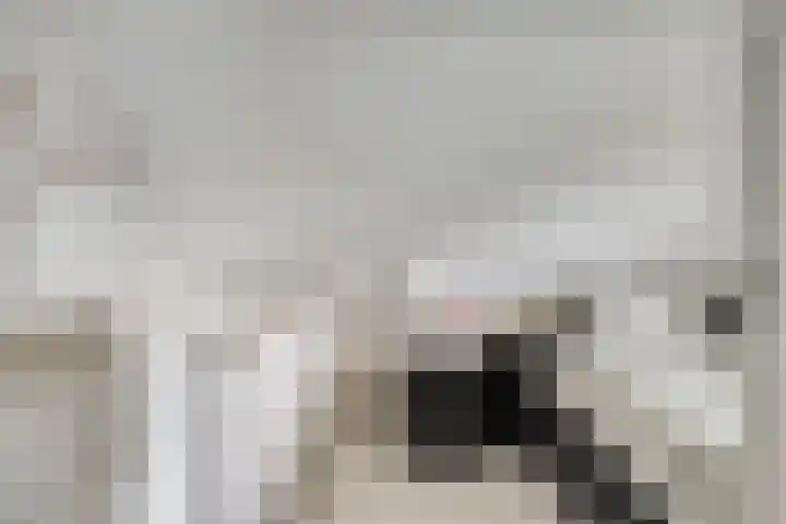 Wildekampseweg 19 Wapenveld thumbnail 21