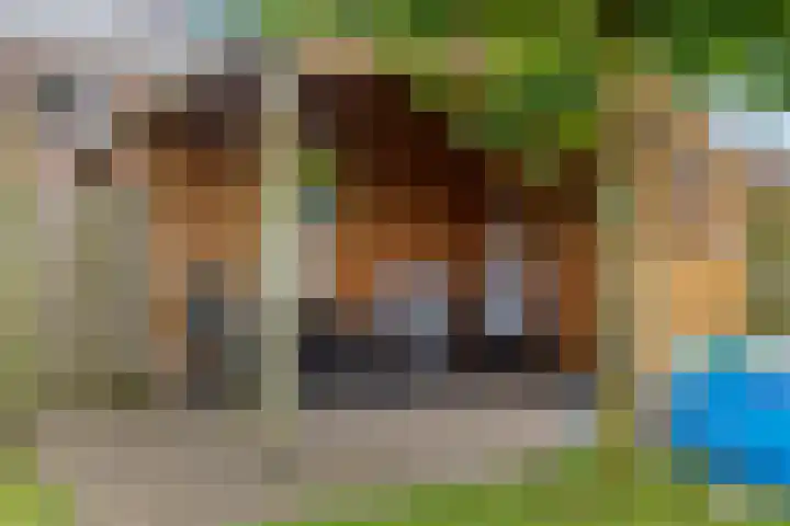Wildekampseweg 19 Wapenveld thumbnail 26