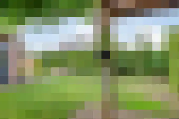 Wildekampseweg 19 Wapenveld thumbnail 27
