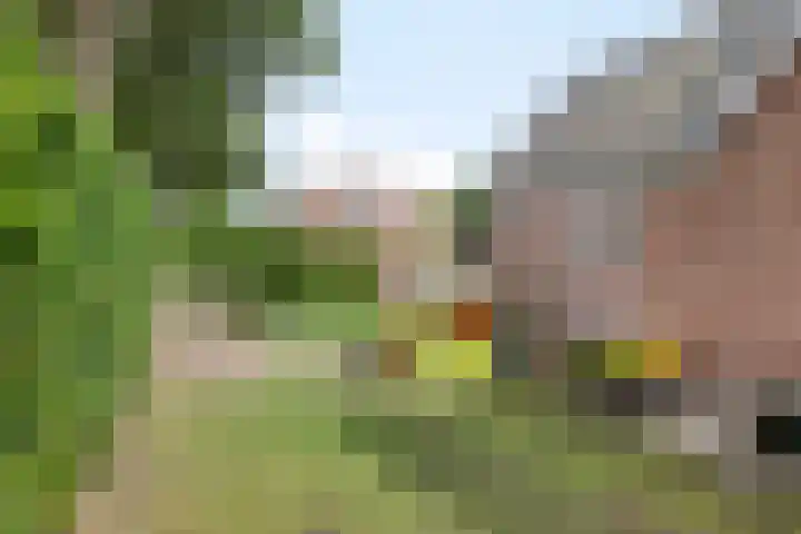 Wildekampseweg 19 Wapenveld thumbnail 28
