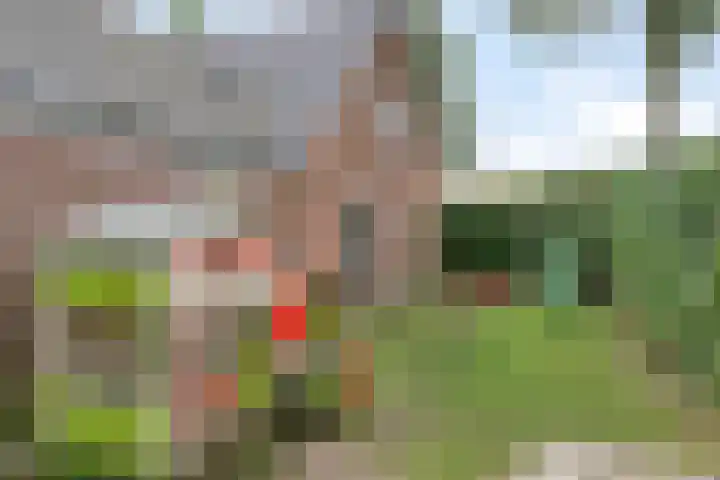 Wildekampseweg 19 Wapenveld thumbnail 29