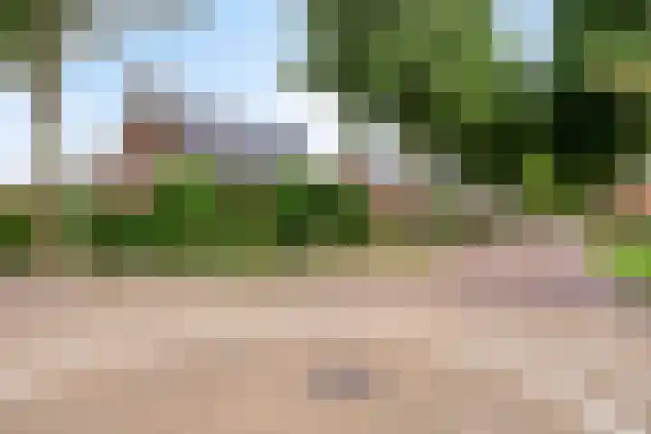 Wildekampseweg 19 Wapenveld thumbnail 32