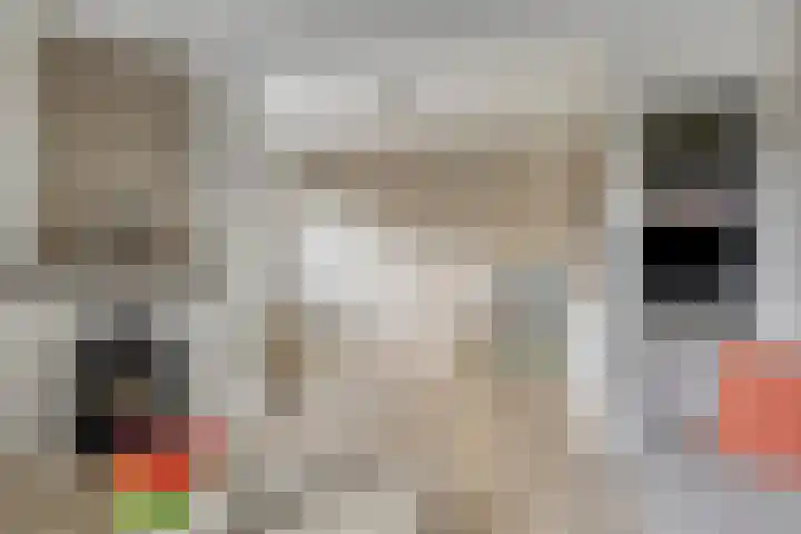 Wildekampseweg 19 Wapenveld thumbnail 4