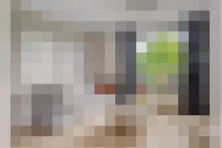 Wildekampseweg 19 Wapenveld thumbnail 6