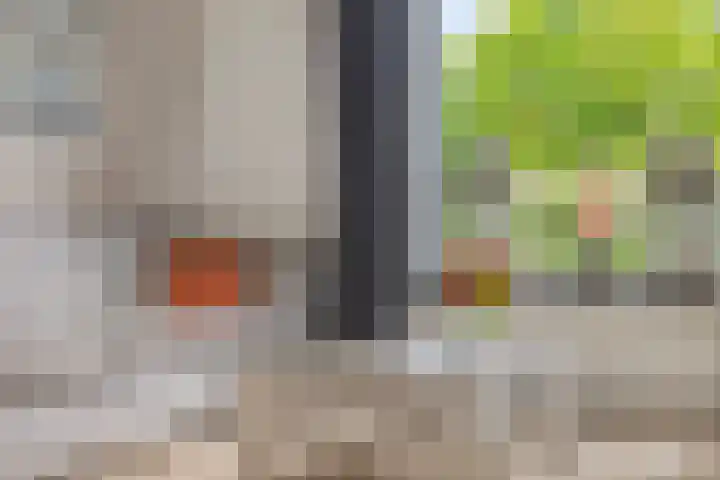 Wildekampseweg 19 Wapenveld thumbnail 7