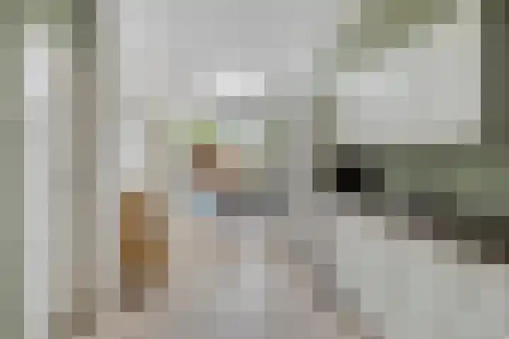 Wildekampseweg 19 Wapenveld thumbnail 9