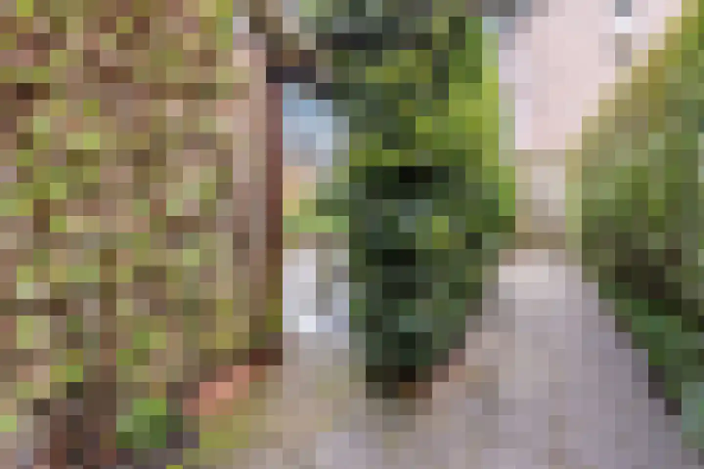 Wildekampseweg 74 Wapenveld thumbnail 34