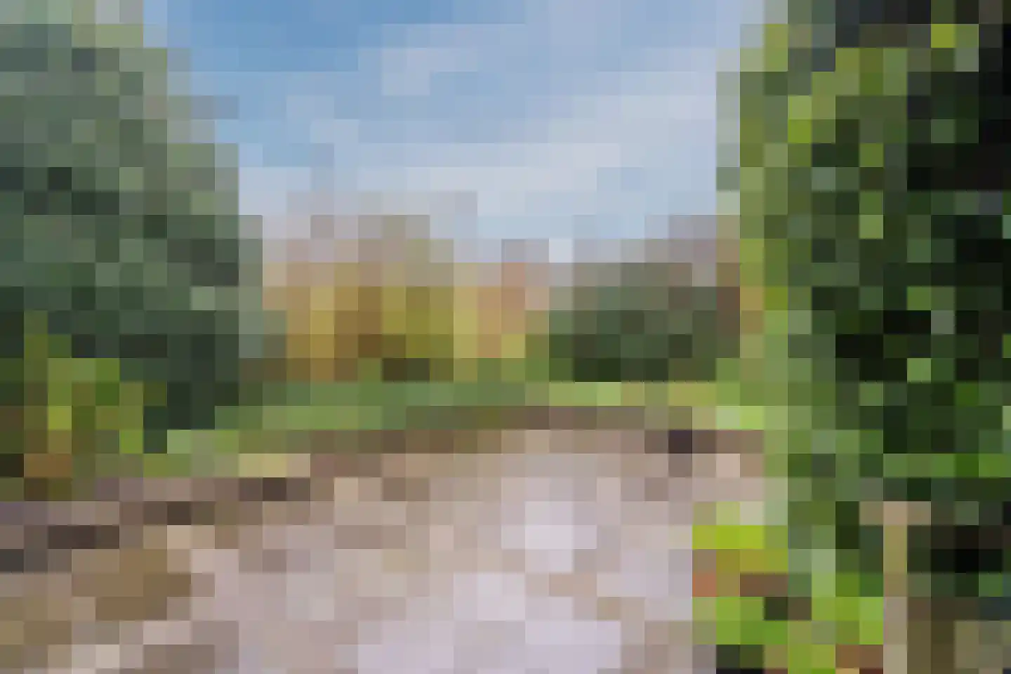 Wildekampseweg 74 Wapenveld thumbnail 35