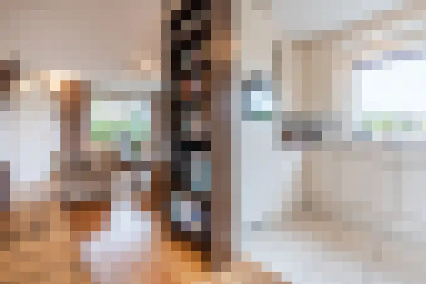 Wildekampseweg 74 Wapenveld thumbnail 7