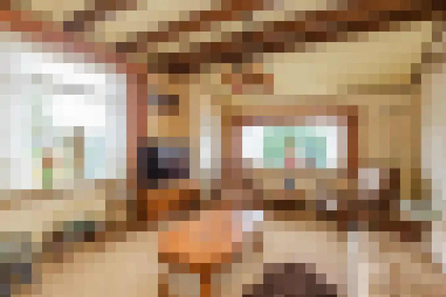 Wildekampseweg 88 Wapenveld thumbnail 11