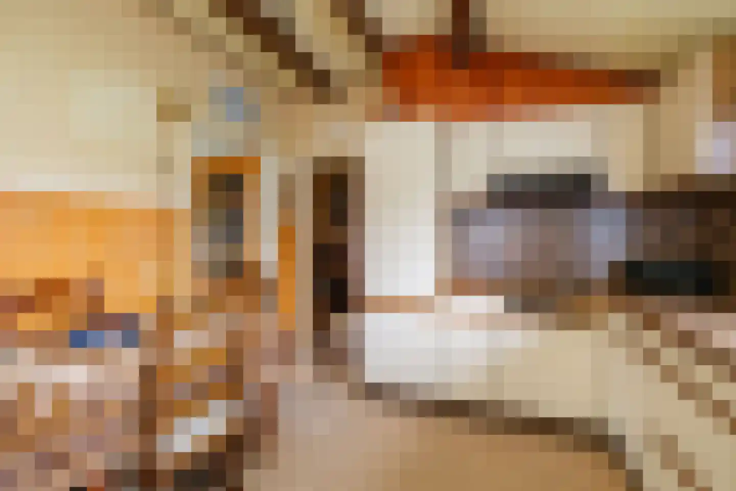 Wildekampseweg 88 Wapenveld thumbnail 14
