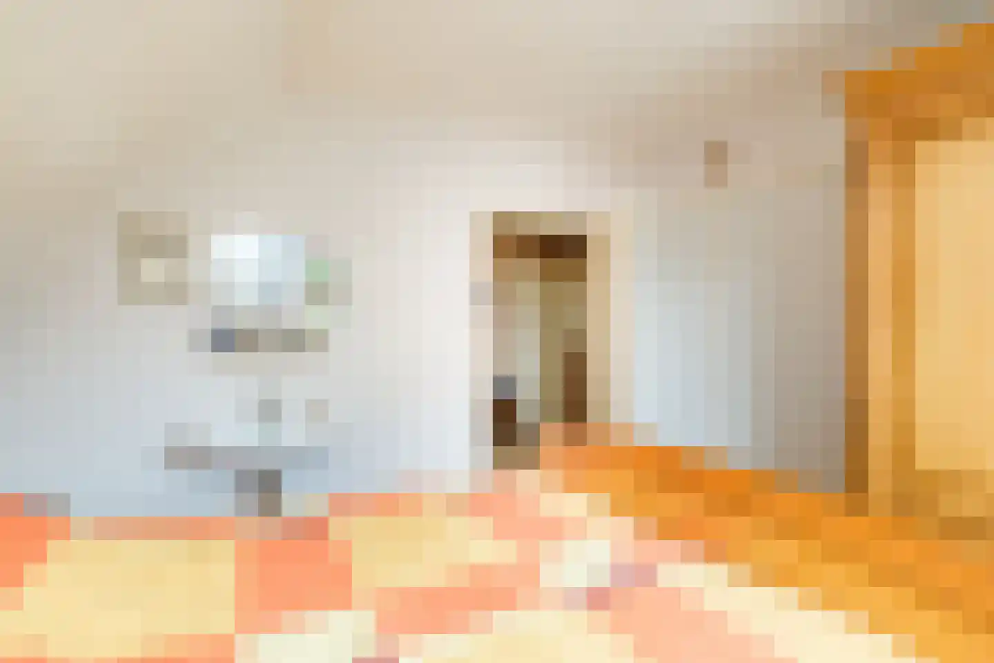 Wildekampseweg 88 Wapenveld thumbnail 20