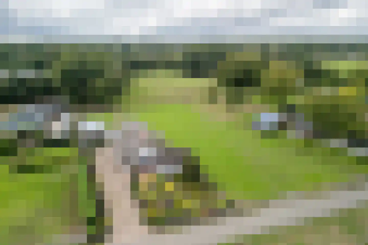 Wildekampseweg 88 Wapenveld thumbnail 4